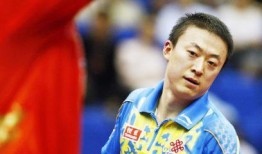 马琳爆料王励勤了吗视频,视频揭秘背后的真相